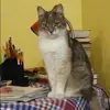Отзыв от Оля Савина